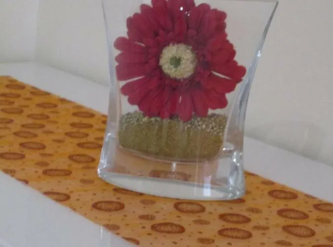 Cavour17 * Montescaglioso